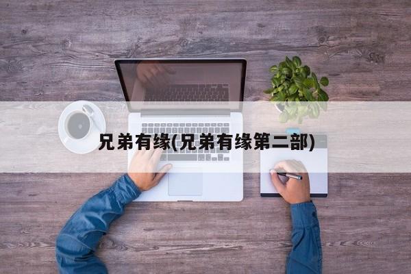 兄弟有缘(兄弟有缘第二部)