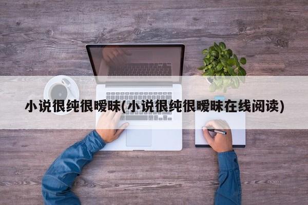 小说很纯很暧昧(小说很纯很暧昧在线阅读)